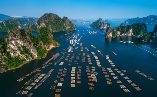 Bai Tu Long Floating Village