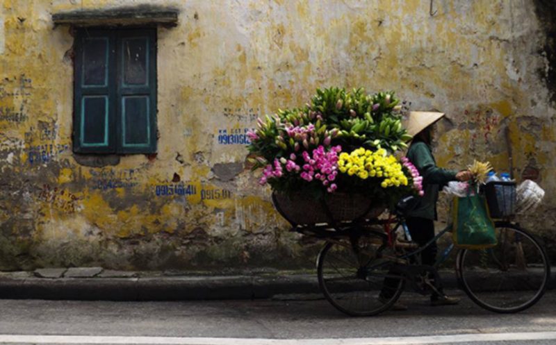 VIETNAM ITINERARY 10 DAYS 9 NIGHTS IN NORTH PART EMMA AND FAMILY