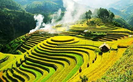 Authentic Sapa Family Trekking To Mu Cang Chai 4