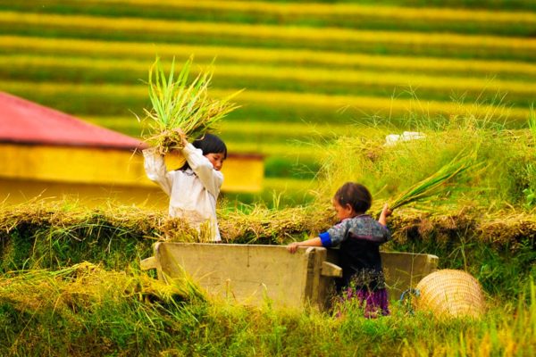 VIETNAM ITINERARY 5 DAYS 4 NIGHTS IN NORTHERN PART JOSE PLAN