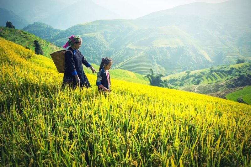 VIET NAM ITINERARY 18 DAYS 17 NIGHTS IN NORTHERN PART PRIVATE TOUR KELLY PLAN