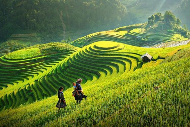 VIET NAM ITINERARY 9 DAYS 8 NIGHTS IN THE NORTHWEST