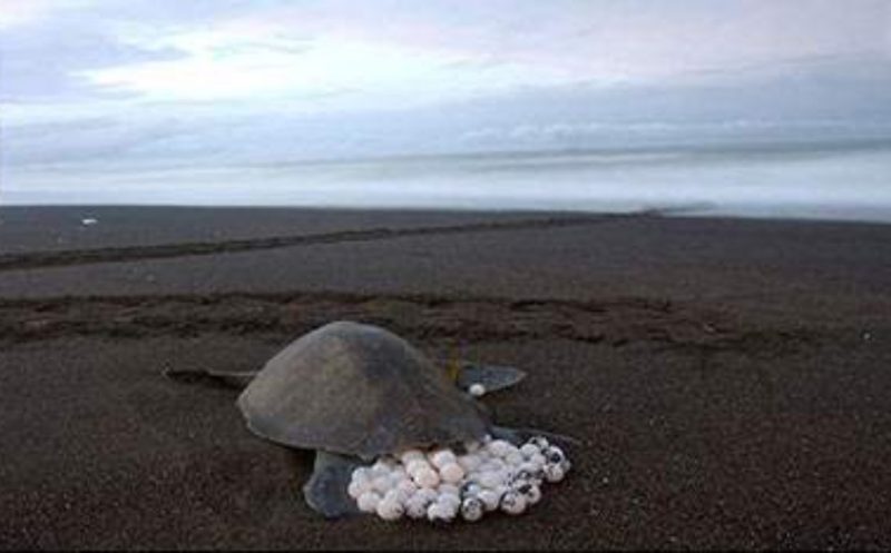 VIET NAM ITINERARY 22 DAYS 21 NIGHTS IN NORTH, CENTRAL AND SOUTH LAURA PLAN