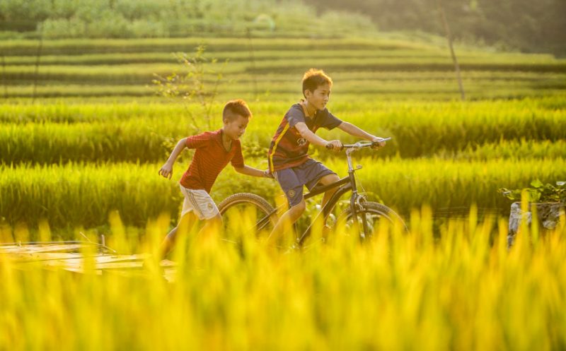VIETNAM ITINERARY 3 DAYS 2 NIGHTS HA NOI & PU LUONG ANAEL HADAD PLAN