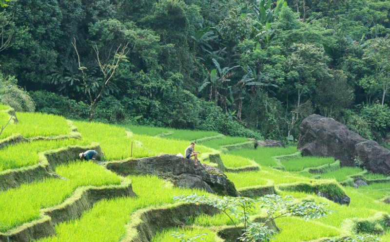 VIETNAM ITINERARY 3 DAYS 2 NIGHTS HA NOI & PU LUONG ANAEL HADAD PLAN