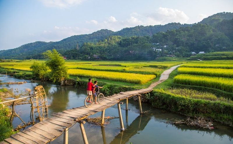 VIETNAM ITINERARY 19 DAYS 18 NIGHTS IN NORTH, CENTRAL & SOUTH JANETTE GILLON