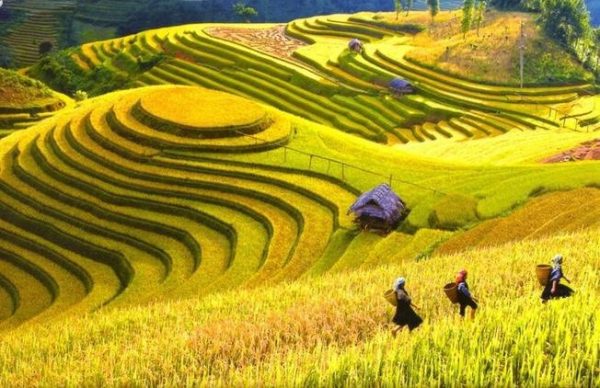VIETNAM ITINERARY 9D8N IN NORTHERN PART