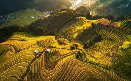 Jenny Vietnam Travel Riceterace