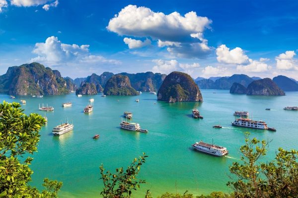 Halong 1 day tour