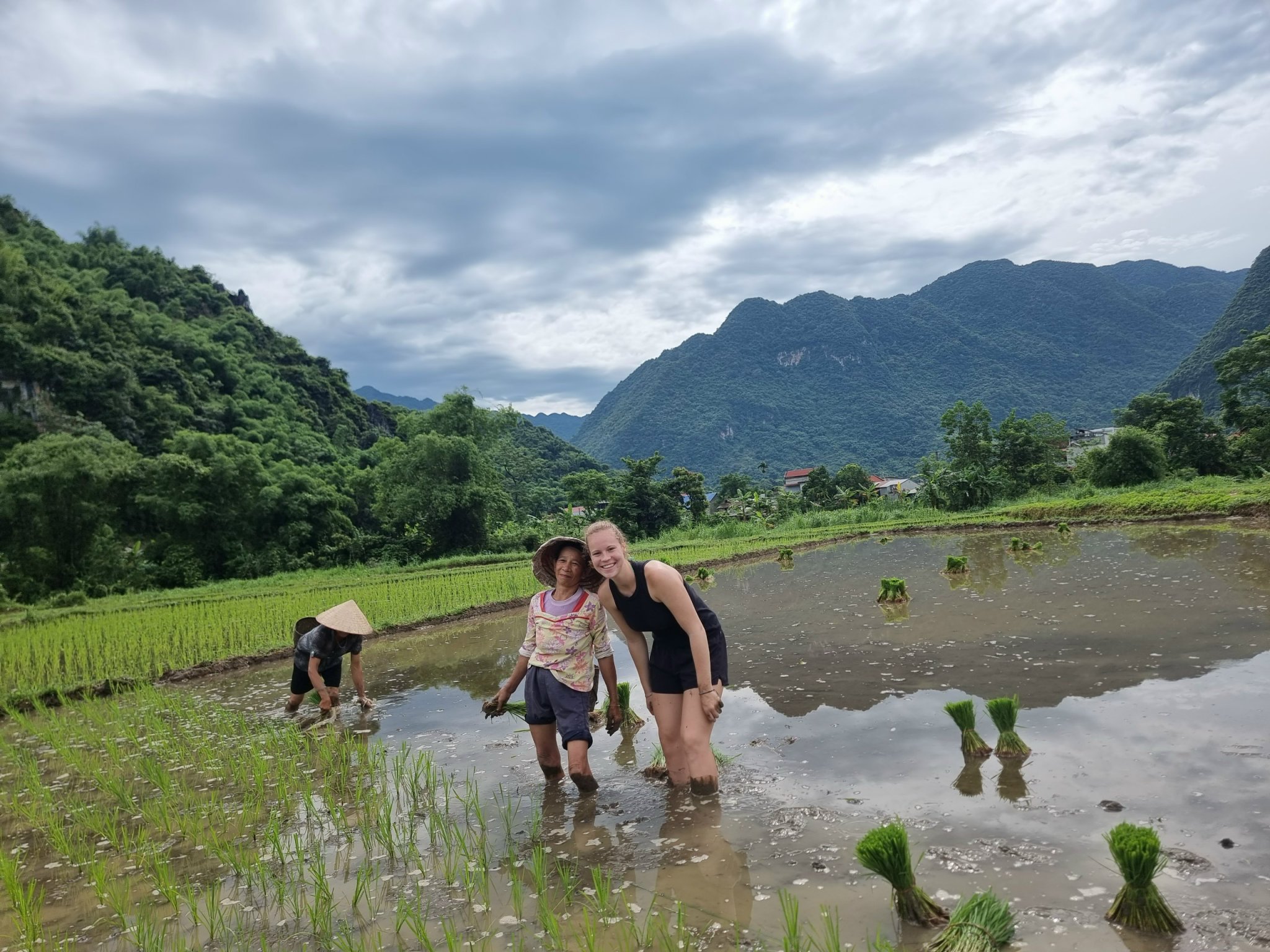 Pu Luong Planting Rice Jenny Travel