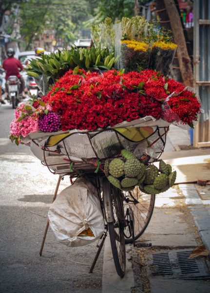 VIETNAM ITINERARY 5 DAYS 4 NIGHTS IN NORTHERN PART AILANIE PLAN 2