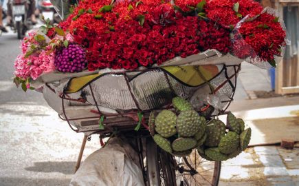 Flower Street Vendor Hanoi Jennyvietnamtravel