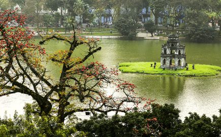 Hoa Gao Ho Guom Jennyvietnamtravel