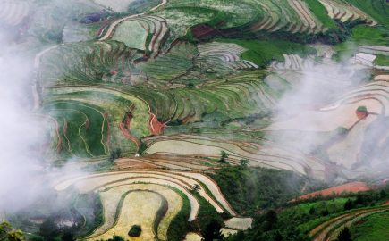 Rice Terrace Mucangchai Jennyvietnamtravel