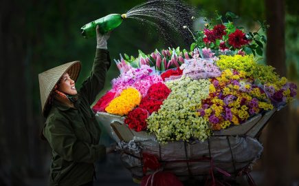 Hanoi Flower Vendor Jenny Vietnamtravel