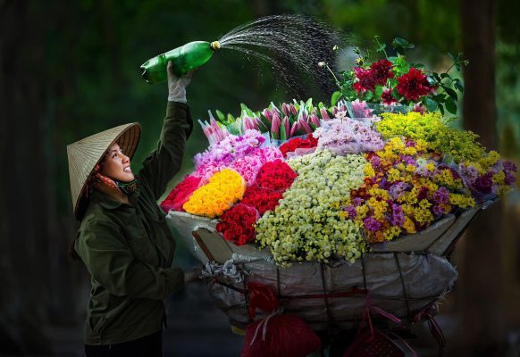 VIETNAM ITINERARY 7 DAYS 6 NIGHTS IN NORTHERN PART LEESA PLAN 2