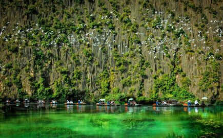Van Long Wetland Ninh Binh Jenny Vietnam Travel