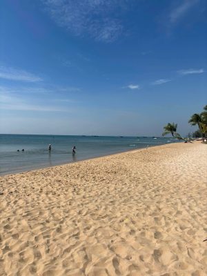 VIET NAM ITINERARY 21 DAYS 20 NIGHTS IN NORTH, CENTRAL AND SOUTH HANNAH PLAN