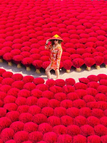 VIET NAM ITINERARY 21 DAYS 20 NIGHTS IN NORTH, CENTRAL AND SOUTH HANNAH PLAN