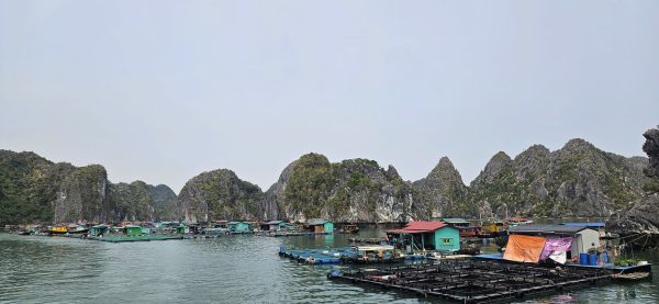 Jenny Vietnam Travel Hub Wife Catba Island 1