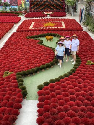 Jenny Vietnam Travel Megan Quang Phu Cau Incense Village Hanoi1