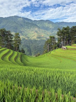 Jenny Vietnam Travel Mong Ngua Hill 1