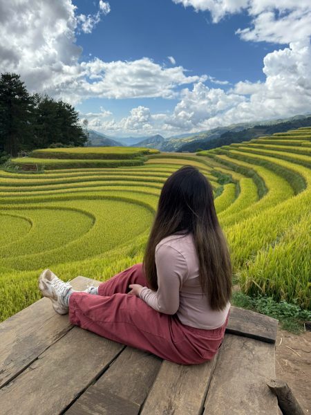 VIET NAM ITINERARY 15 DAYS 14 NIGHTS IN THE NORTH KIM PLAN