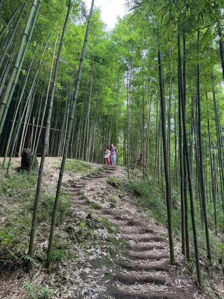 VIET NAM ITINERARY 15 DAYS 14 NIGHTS IN THE NORTH KIM PLAN