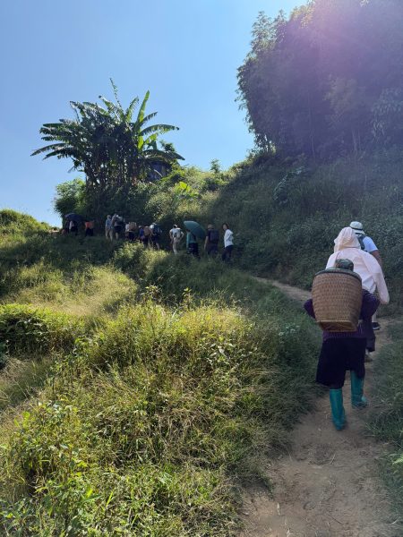 VIET NAM ITINERARY 15 DAYS 14 NIGHTS IN THE NORTH KIM PLAN