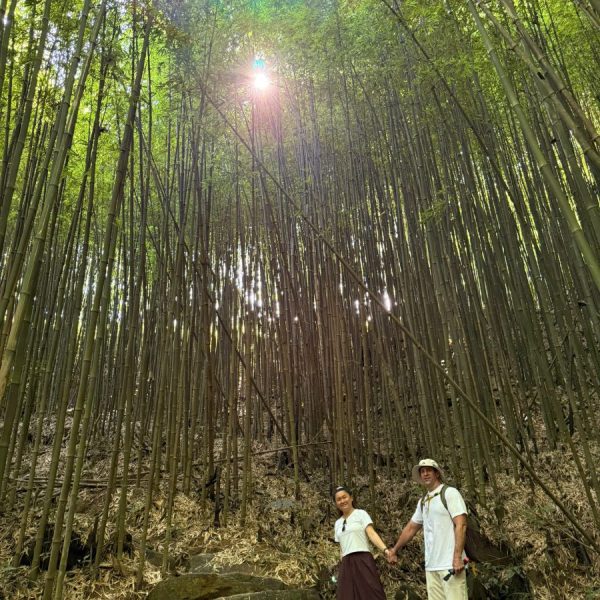 VIET NAM ITINERARY 15 DAYS 14 NIGHTS IN THE NORTH KIM PLAN