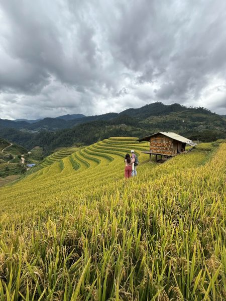 VIET NAM ITINERARY 15 DAYS 14 NIGHTS IN THE NORTH KIM PLAN