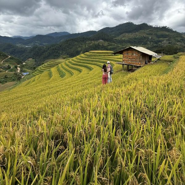 VIET NAM ITINERARY 15 DAYS 14 NIGHTS IN THE NORTH KIM PLAN