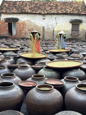 Tuong Ban Jenny From The Blog1