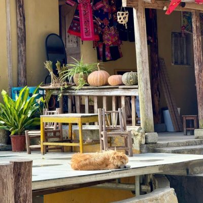 Jenny From The Blog Lo Lo Chai Village Ha Giang 02