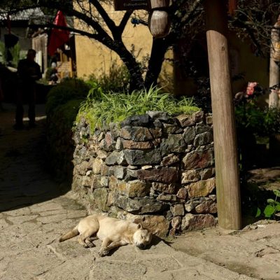 Jenny From The Blog Lo Lo Chai Village Ha Giang 05